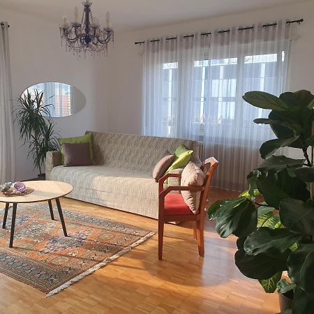 Charming Penthouse Near Como Lake Chiasso Εξωτερικό φωτογραφία