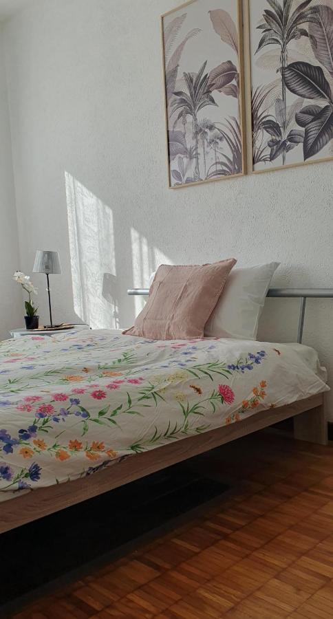 Charming Penthouse Near Como Lake Chiasso Εξωτερικό φωτογραφία